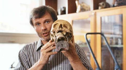 Strážce duší - Tajemství Templu