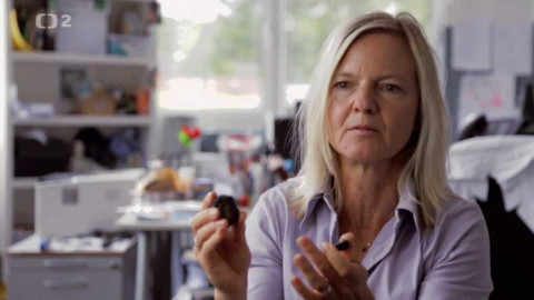 Dobrodružství vědy a techniky - Kovy vzácných zemin