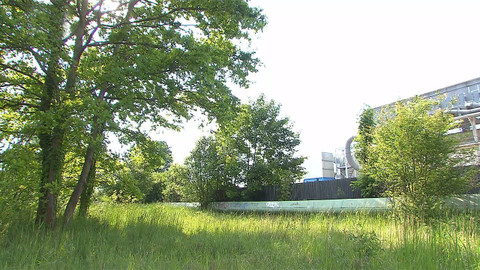 Nedej se! - Hranice veřejného zájmu