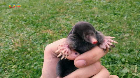 Terčin zvířecí svět - 25. dubna