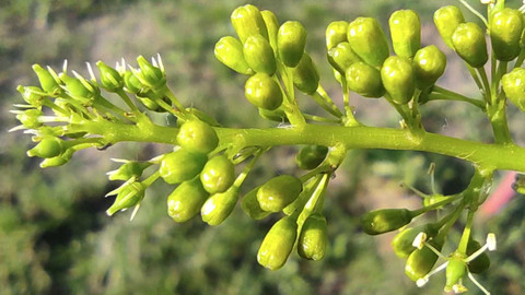 Týden v regionech (Brno) - 30. března 2024