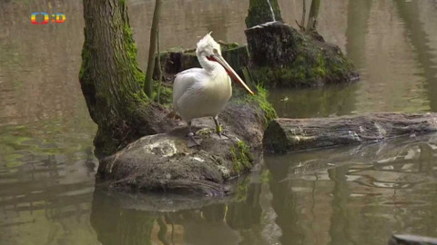 Zprávičky - 7. listopadu 2019