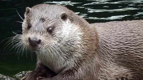 Máte mě! - 27. listopadu 2011