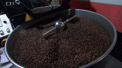 Černé ovce - 18. listopadu 2020