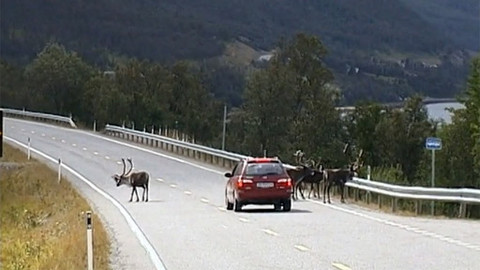 Cestománie - Norsko