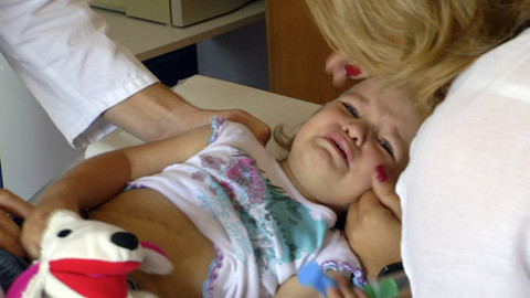 Moje medicína - Orgánové transplantace