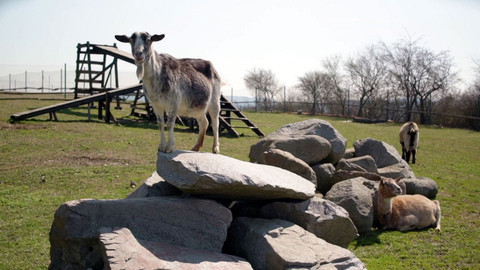 Co naše babičky uměly a na co my jsme zapomněli - Jarní radosti