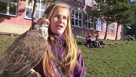 Kvarteto - 22. ledna 2014