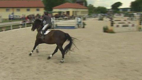 Jezdectví - John Deere Parkur Cup