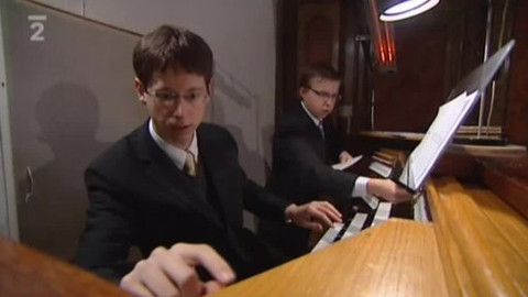 Kultura.cz - 20. listopadu 2010