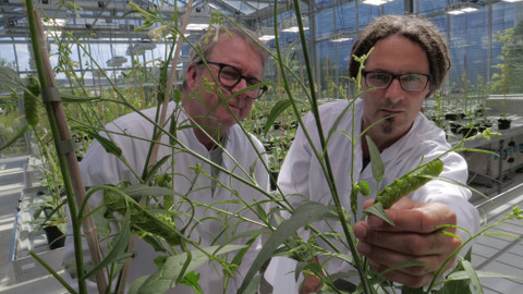 Geniální rostliny - 2/2 Supermetody