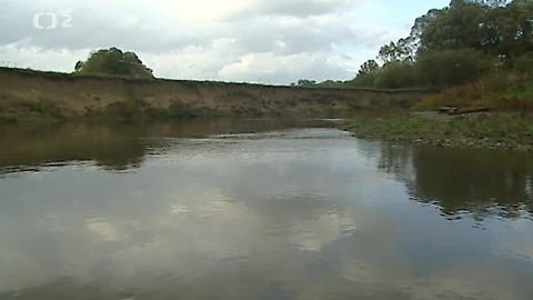 Přidej se - Řeka se dřevem