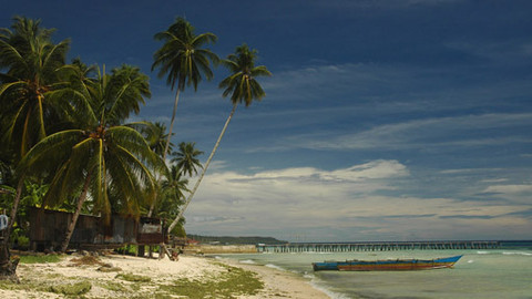 Na cestě - Na cestě po Jayapuře a Biaku