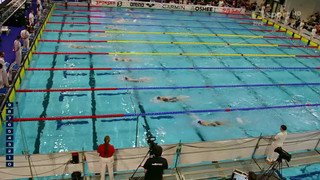 MČR v plavání 2025