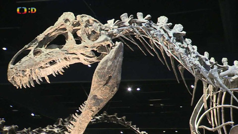 Zprávičky - 30. října 2022