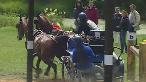 Jezdectví - Světový pohár v závodech spřežení Nebanice