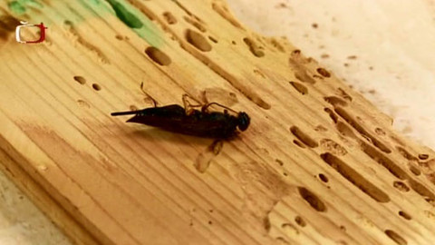 Chalupa je hra - 6. dubna 2010