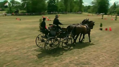 Jezdectví - Mezinárodní závody spřežení 2014 Nebanice