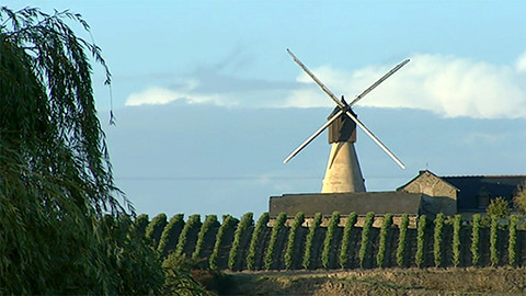 Putování za vínem - 9/15 Loira