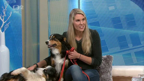 Dobré ráno - 26. ledna 2022