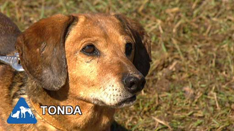 Chcete mě? - Chcete je?