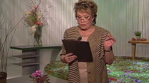 Dobrá rada nad zlato - 18. června 2006