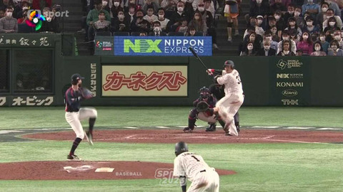 Sport roku - Baseball 2023