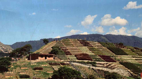 Postřehy odjinud - Kolumbie očima Vladimíra Kroce