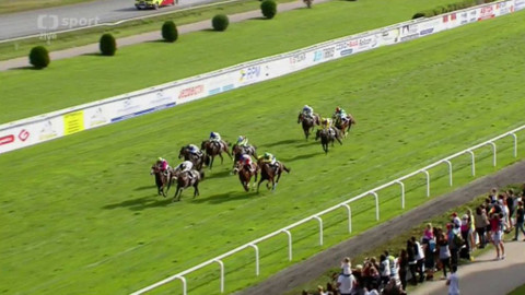 Jezdectví - Cena zimního favorita