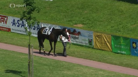 Jezdectví - II. kvalifikace na Velkou pardubickou