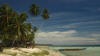 Na cestě po Jayapuře a Biaku