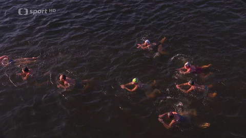 Plavání - Memoriál Alfreda Nikodéma Praha