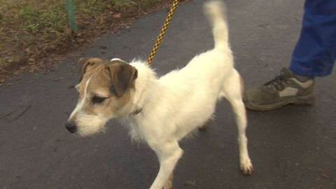 Chcete mě? - Chcete je?