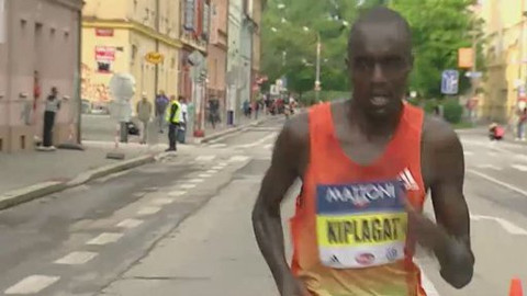 Sportovní běh a chůze - Budějovický půlmaratón