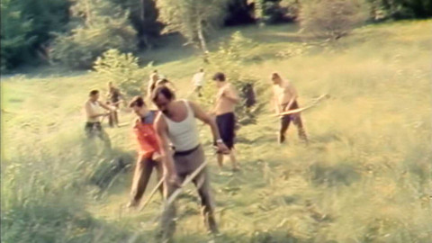 Archiv dne - 11. červen 1982: Každý občan metrák sena