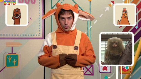 Telefon - 6. listopadu 2015