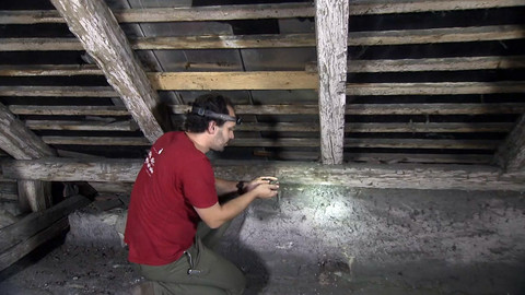 Nedej se! - Naši sousedé