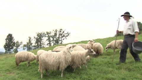 Folklorika - Pásli ovce...