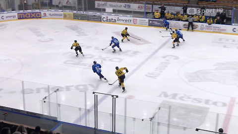 1. česká hokejová liga mužů - Maxa liga - souhrn