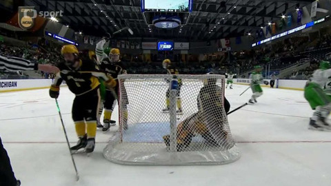 Hokej - Minnesota Duluth - Michigan