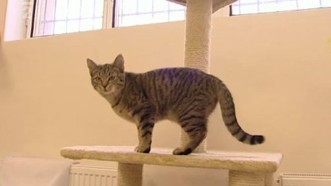 Chcete mě? - Chcete je?