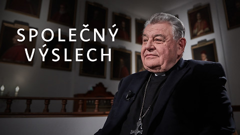 Společný výslech