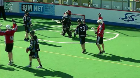 Lakros - Memoriál Aleše Hřebeského