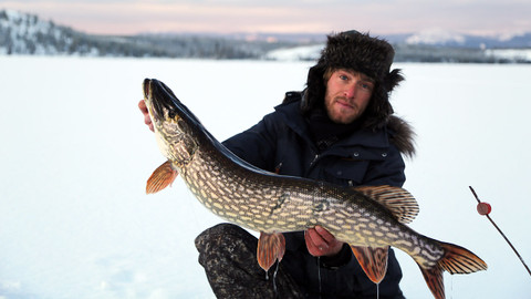 Rybí legendy Jakuba Vágnera - Štika obecná - Kanada