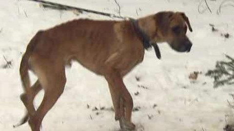 Chcete mě? - Chcete je?