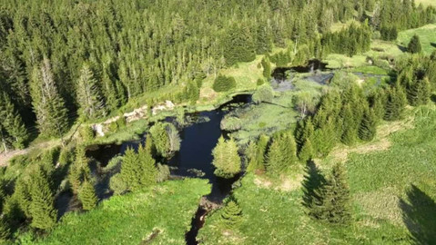 Nedej se! - Novohradská tragikomedie