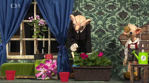 Z metropole - 8. května 2021