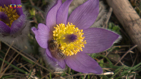 Zprávičky - 18. března 2024