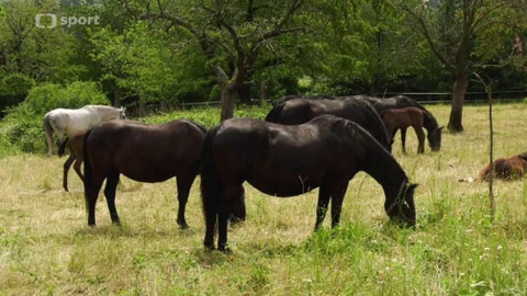 Cyklotoulky - Pardubický kraj
