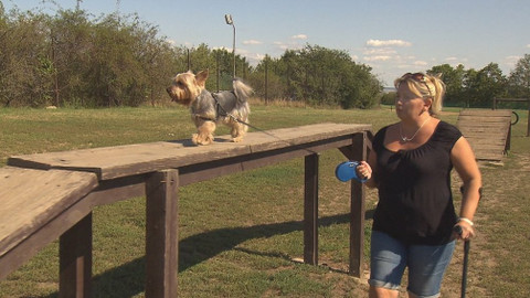 Chcete mě? - 10. září 2017